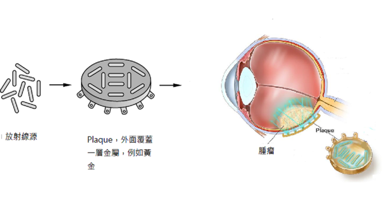 圖片1_0.png