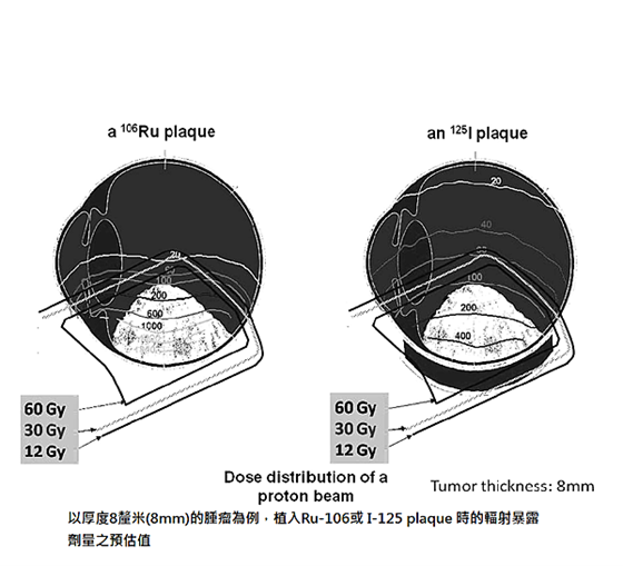 圖片2_2.png
